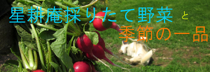 ���k���̍̂肽�Ė�؂ƋG�߂̈�i